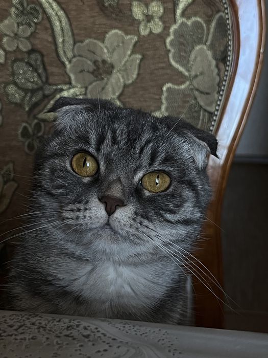 Отзовитесь пожалуйста!СРОЧНО!