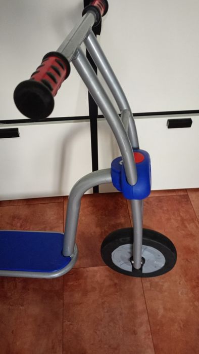 Trotineta robusta Kaplan