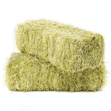 Сомон сотаман прэсс Кибрай 50 та