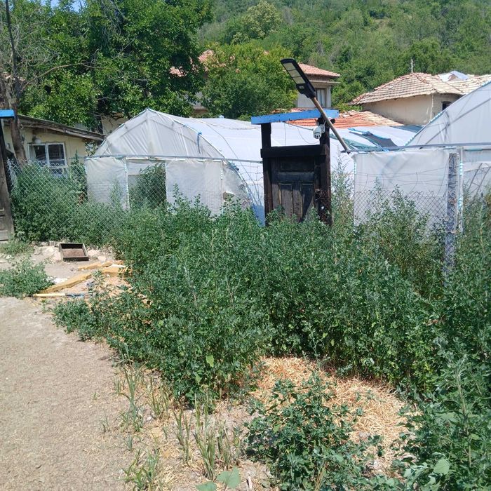 Продава се Парцел в с. Градище, Област Шумен - 1300 кв.м за 16 €/кв.м - Снимка #14