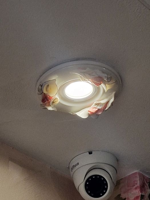 Полилеи и лунички