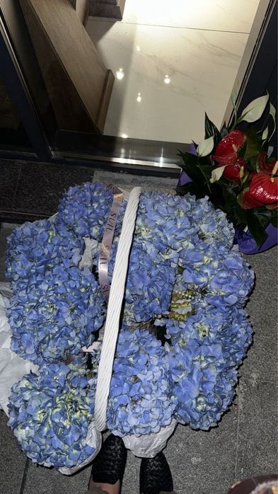 Гортензия , свежийй