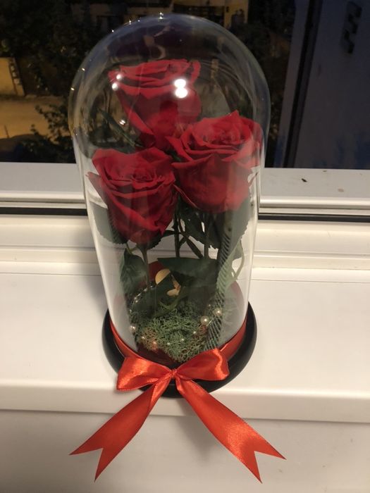 Trandafiri in cupola