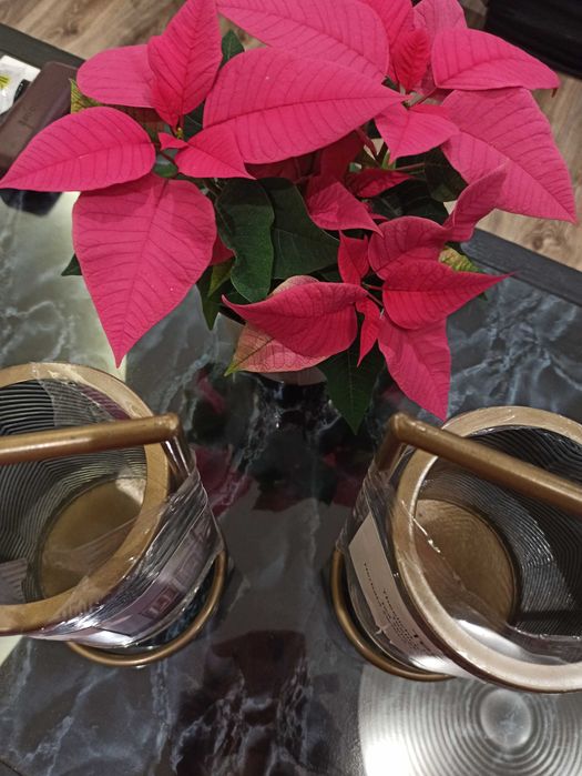 Луксозна поставка за чаени свещи