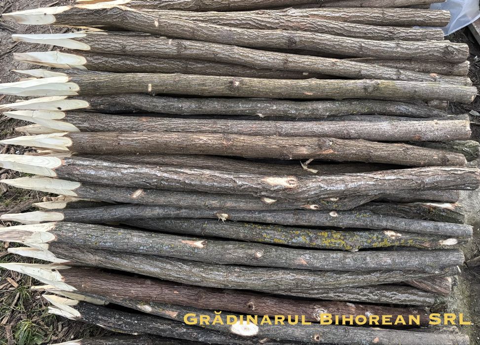 Pari / Tarusi / Araci , pentru gard electric (Oferta) .