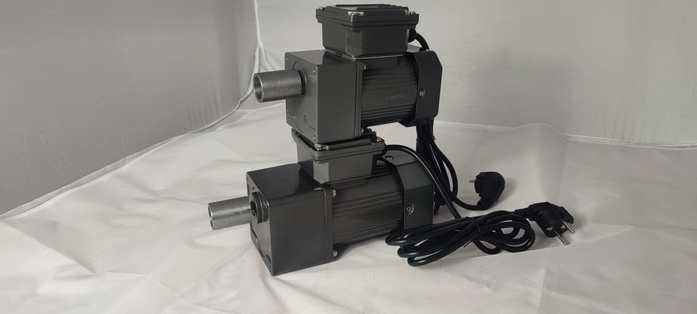 Motoreductor  protap,rotisor