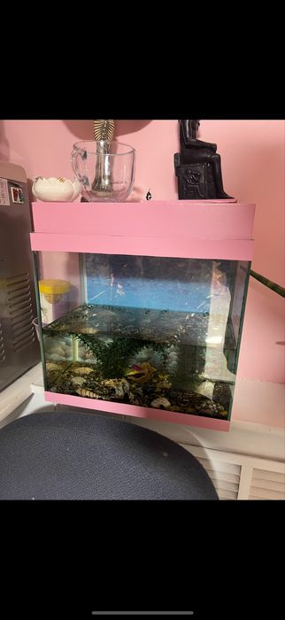 продам аквариум