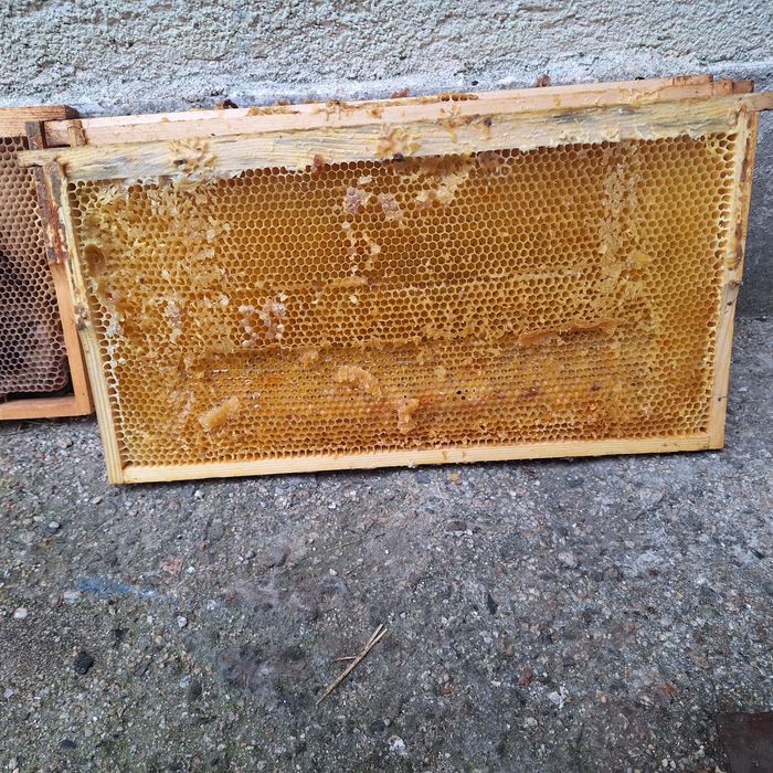 Изградени плодникови ЛР рамки