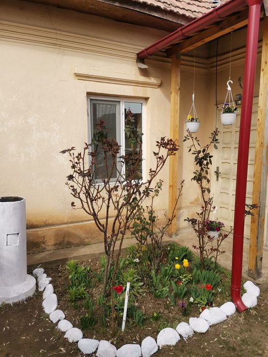 Casa de vanzare în Caracal