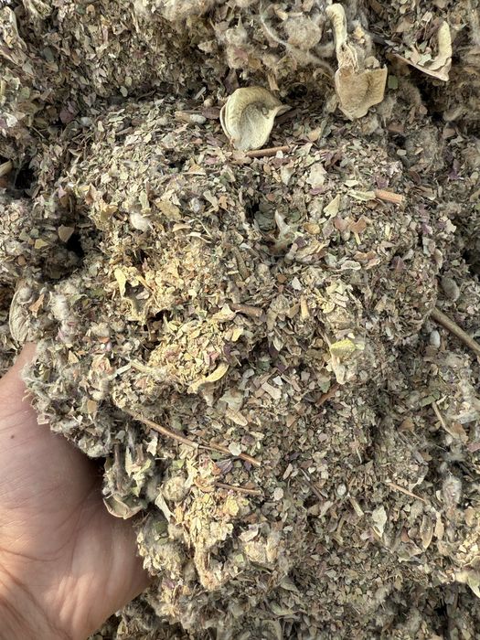 Мақта қауашағы сатылады