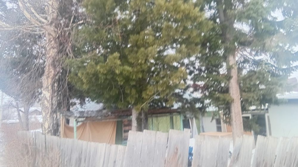 Продам дом  в районе Дасааф