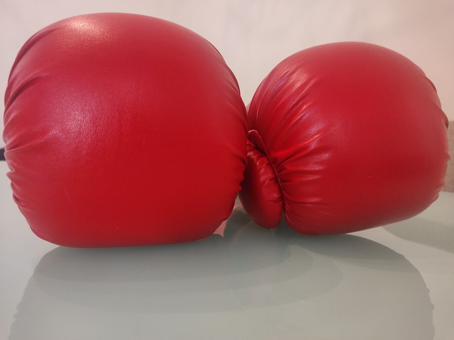 Taekwondo протектори за крака и ръкавици