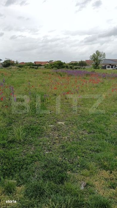 Teren intravilan, 980 mp, front 21 m, zona Sacalaz
