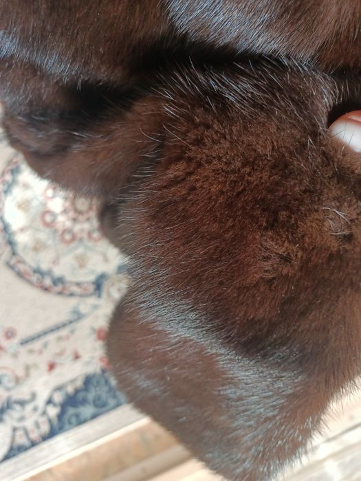 Продам норкувую шубу