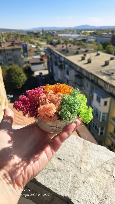 Бюджетни подаръци със скандинавски мъх