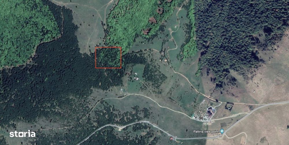 Teren extravilan 11000mp in Paltinis