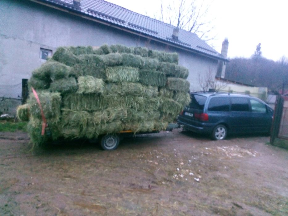 Baloți fan  cea mai bună calitate