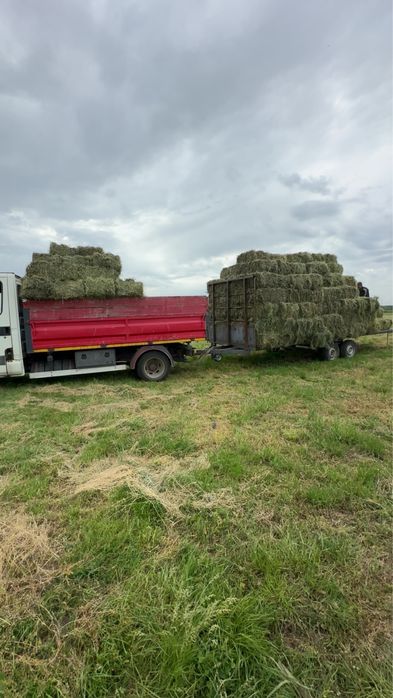 Baloti lucernă/coceni/paie/orz rotunzi pe plasă și dreptunghiulari