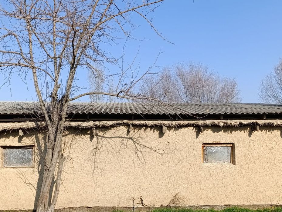 Molxona sotiladi - Sirdaryo viloyati Sayxunobod tumani