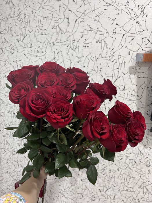 Цветы гүлдер свежый