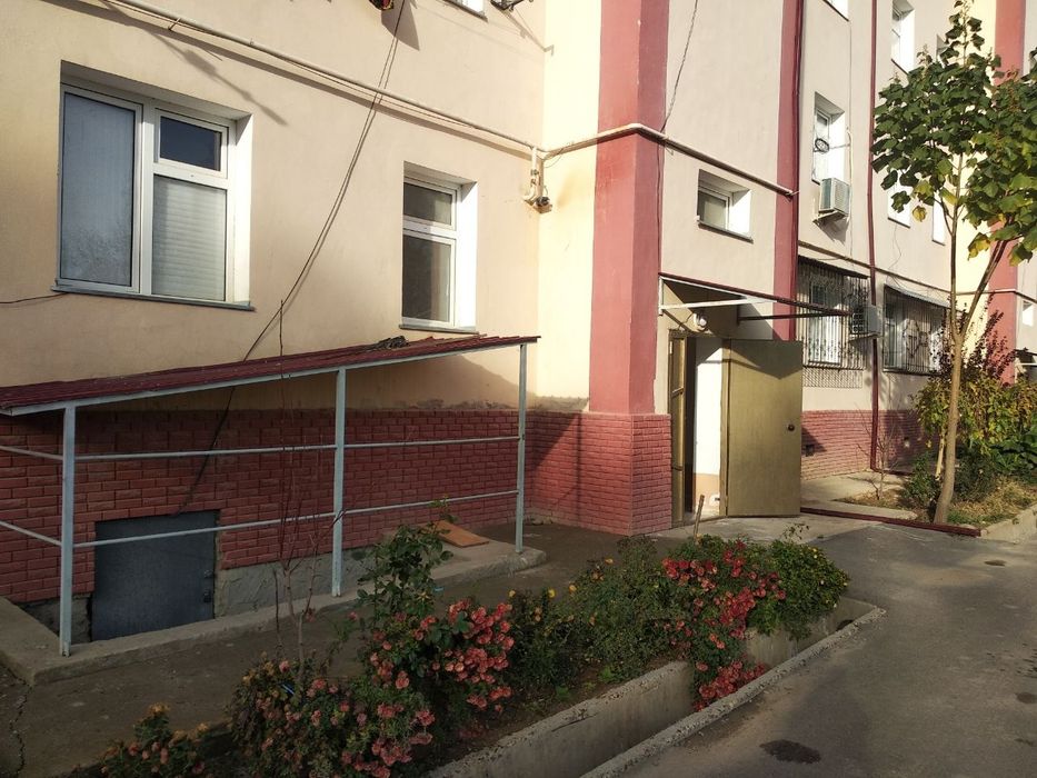 Alena Piskunning jinsiy aloqa videolari bor