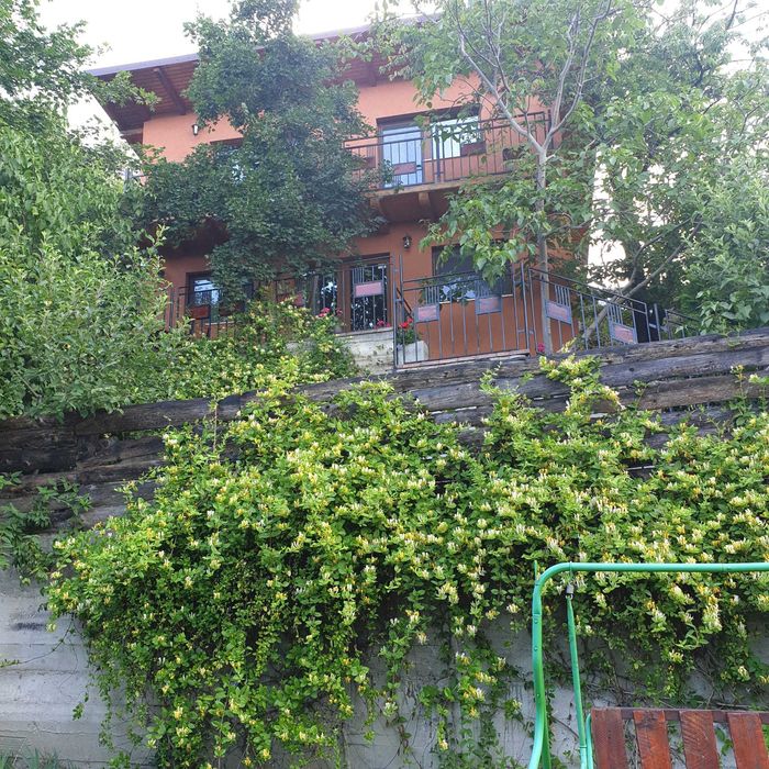 dau in chirie casa