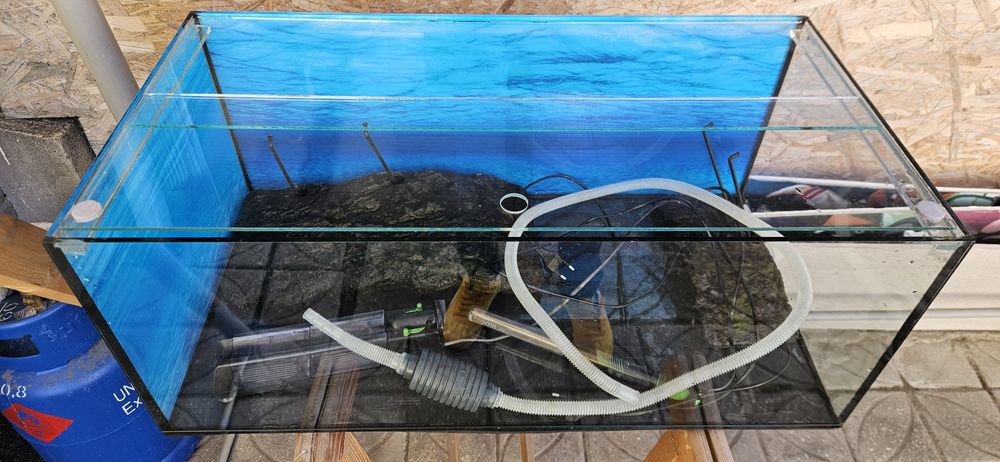 Acvariu broscute testoase!