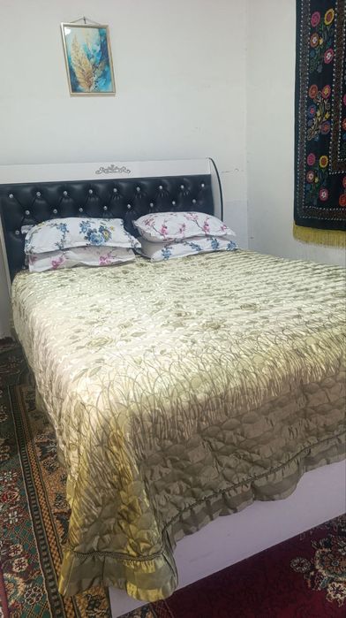 Dacha arenda bez zaks