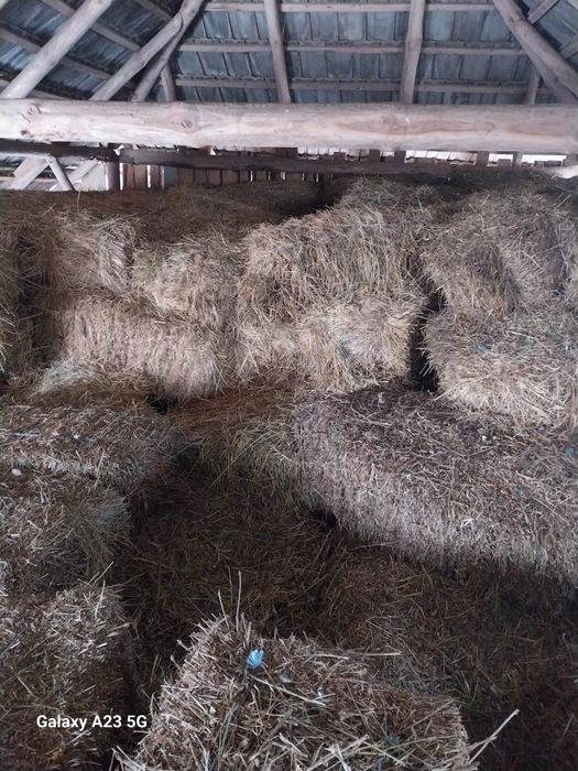 Vând paie baloți, și trifoi  baloți.