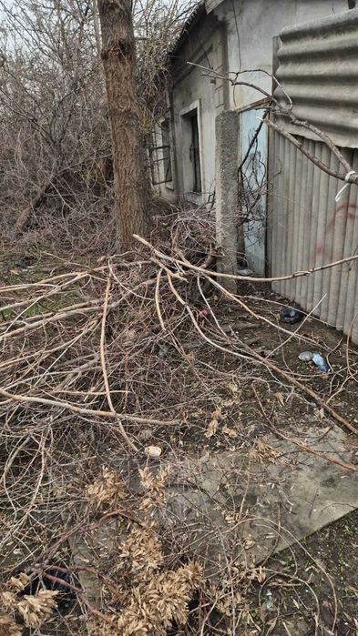 Шифер / Материалы с дома