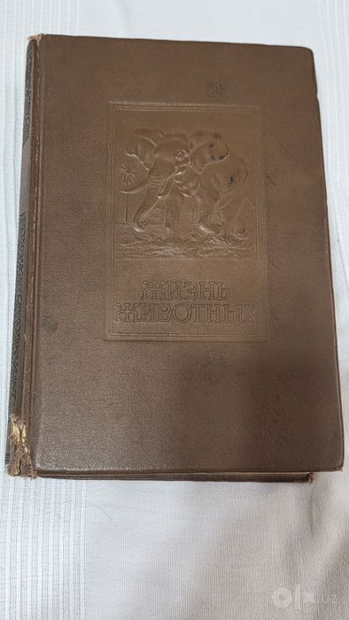 Книга Энциклопедия