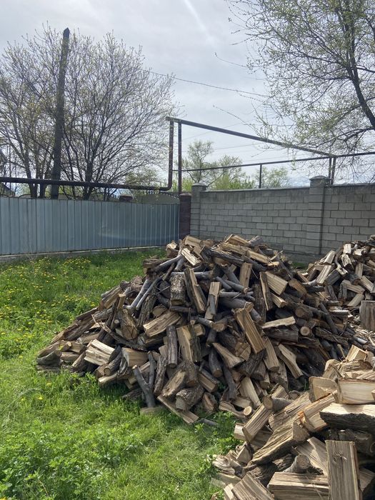Дрова рубленые тополь