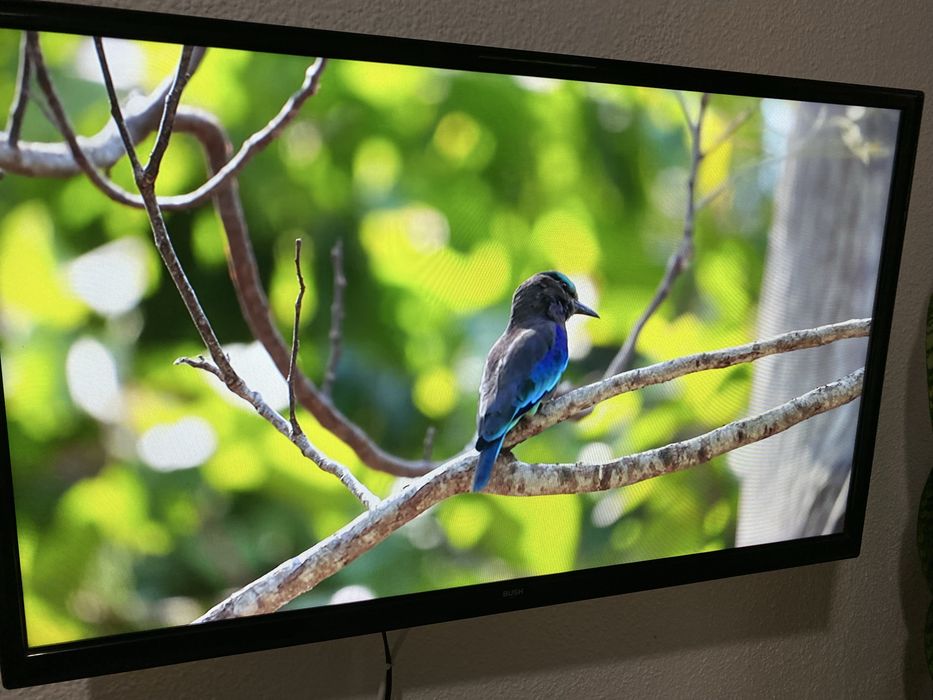 Smart TV BUSH 80 cm