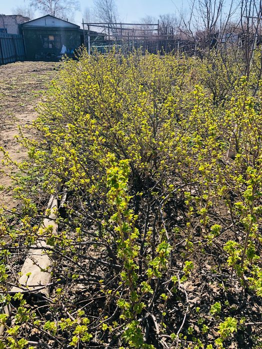 Дача в городе сад Энтузиаст (КазПравды-Ворушина)