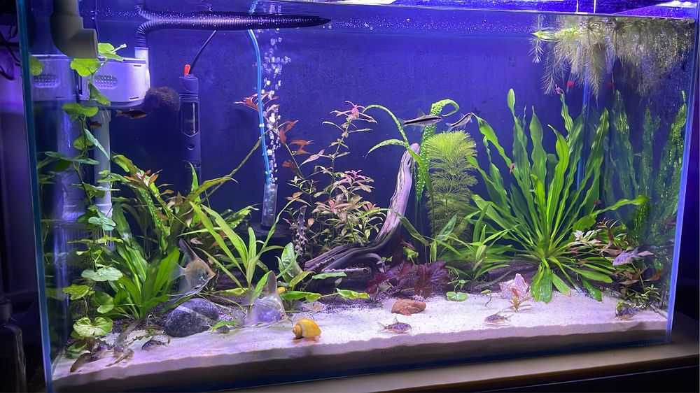 Аквариум 150литров