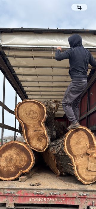 Продам Лес КАРАГАЧ