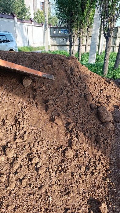 Чернозем чернозём навоз көң гөң гон