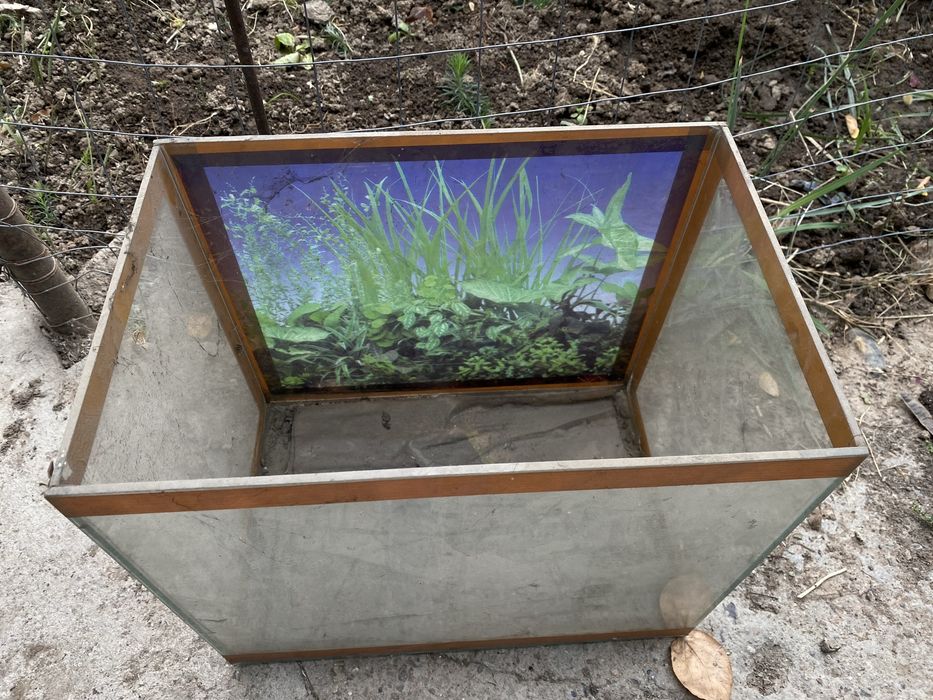Аквариум для рептилий