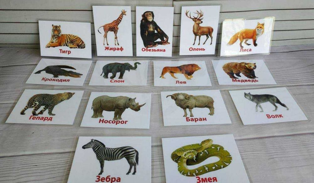Обучающие карточки для детей