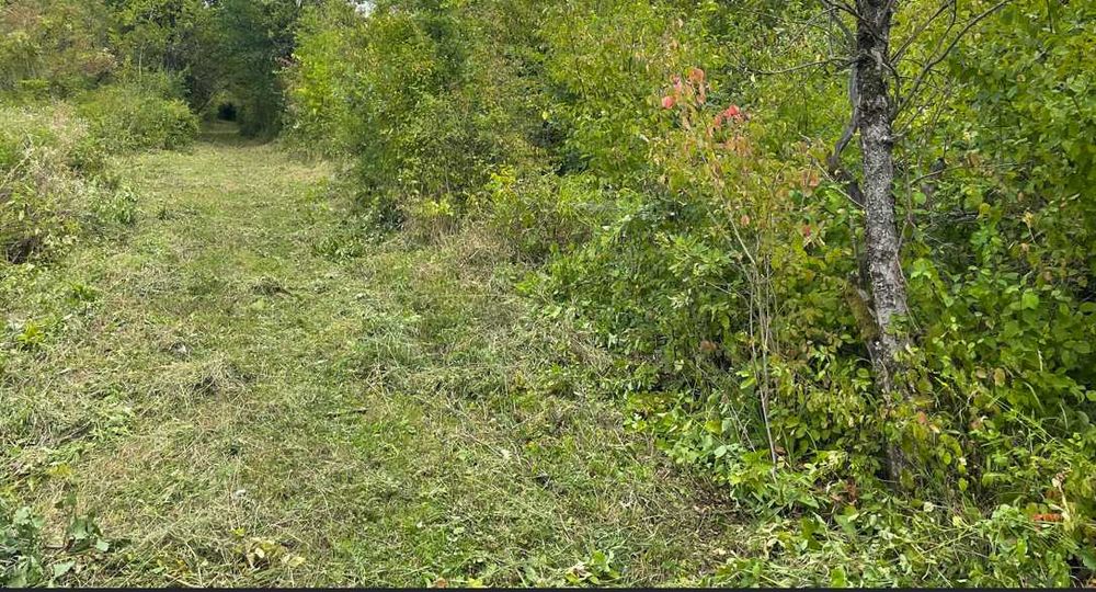 Tautii-Magheraus ,teren intravilan 62 ari , deschidere 119m