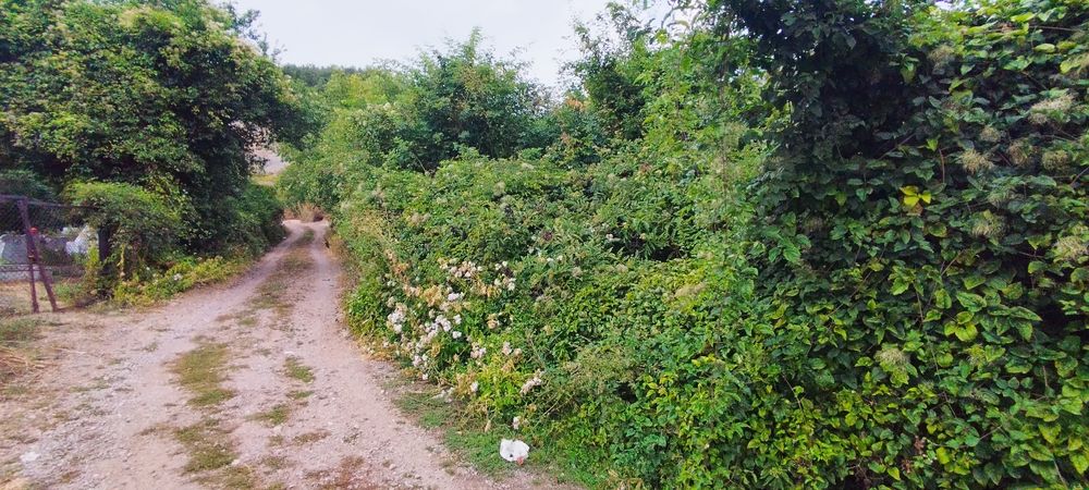 Продава се Парцел в с. Люлин, Област Перник - 835 кв.м за 31 €/кв.м - Снимка #2