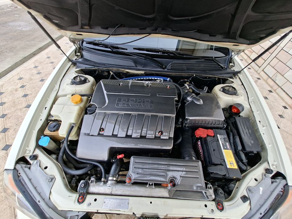 Девоо магнус сотилади