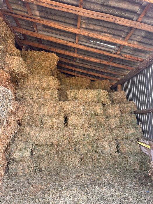 Baloti de Lucerna, Paie, Fan