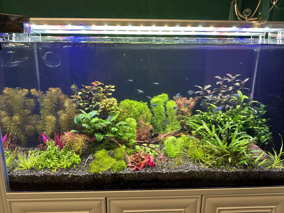 Аквариумы на заказ