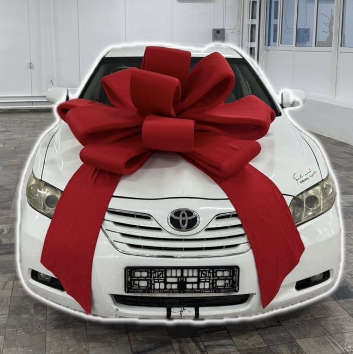 Бант подарочный большой
