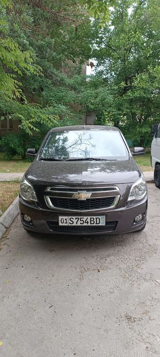Cobolt LTZ sotiladi