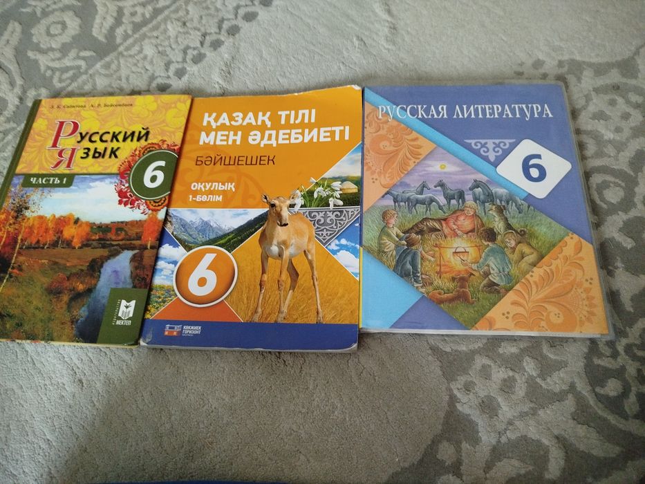 Русский язык 1 часть 6 класс