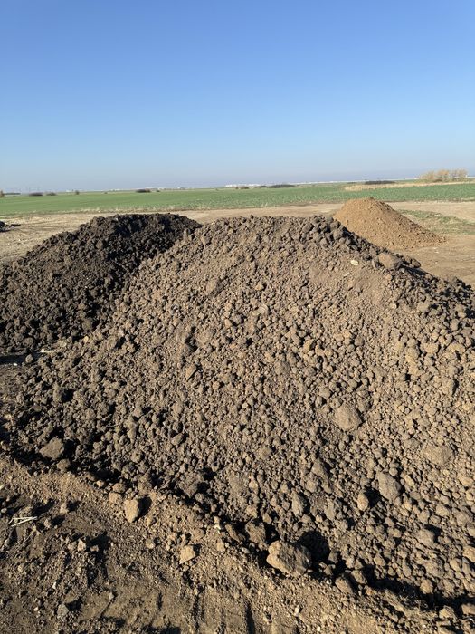 Vând mraniță și pământ negru de grădină