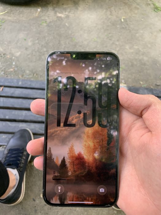 iPhone 13 Pro Max