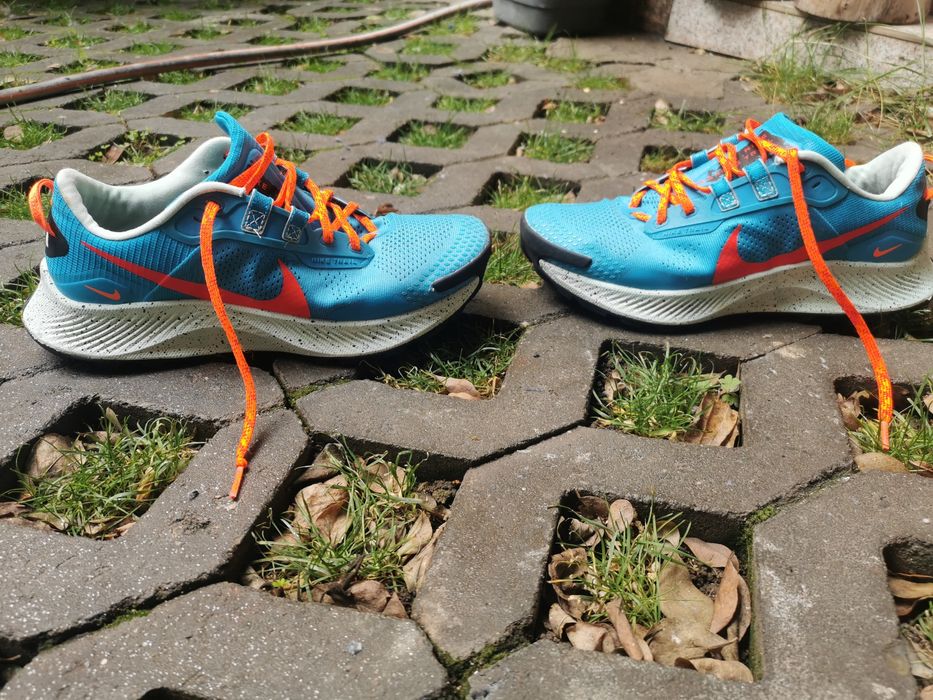 Nike pegasus trail 3